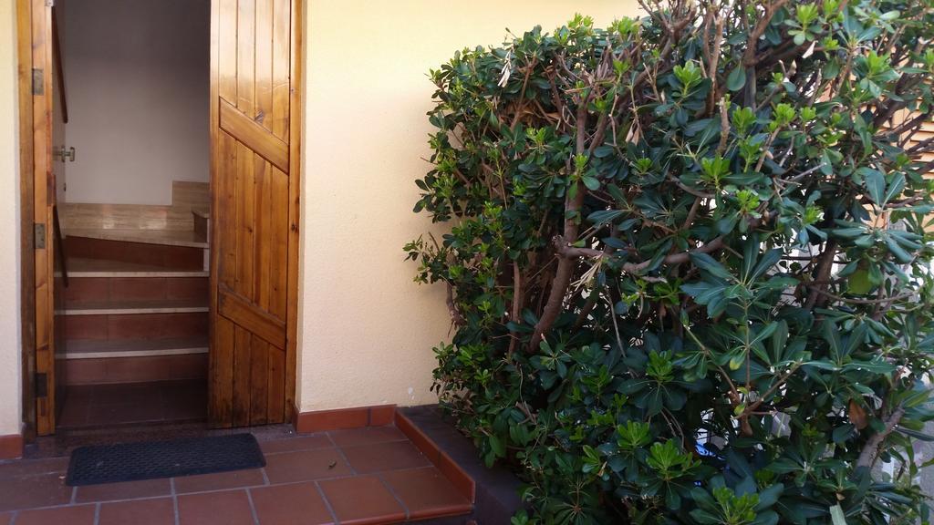 Villa Magnolia Appartamenti Nicotera Eksteriør bilde